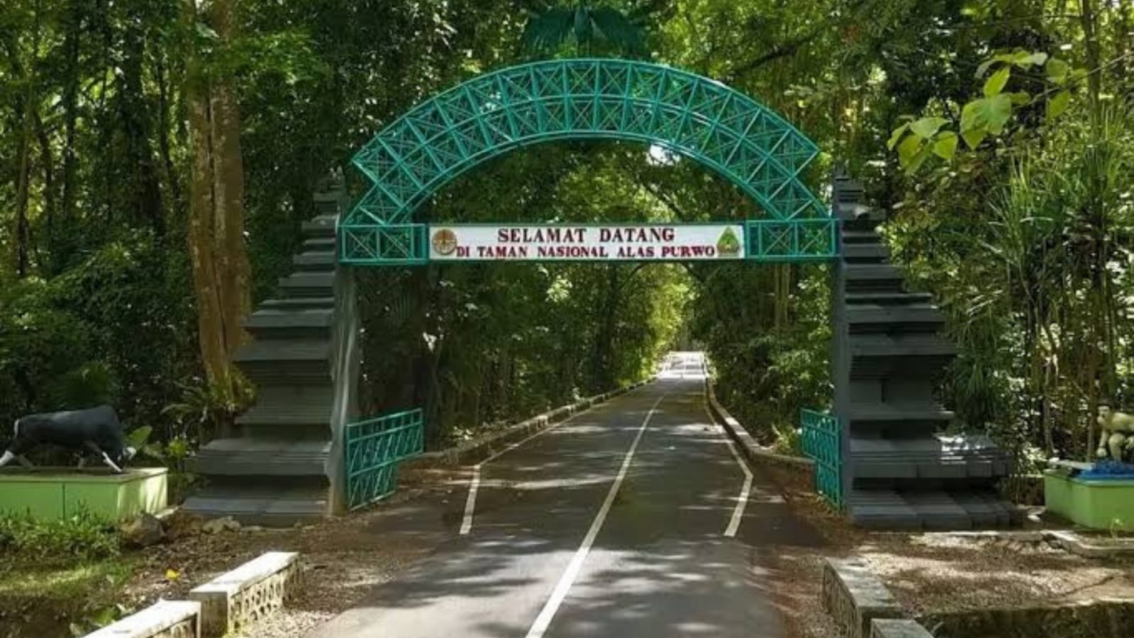 Sewa Mobil Bali ke Alas Purwo: Perjalanan Spiritual & Petualangan Alam Liar